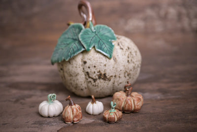 Mini Pumpkins (Sold out)