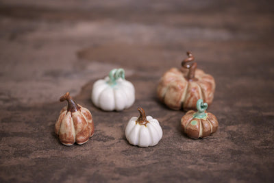 Mini Pumpkins (Sold out)