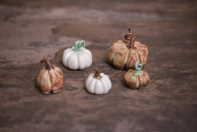 Mini Pumpkins (Sold out)