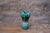 Funky Petal Vase [teal]